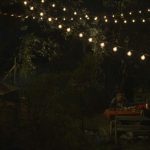 fortuna lake la pelicula